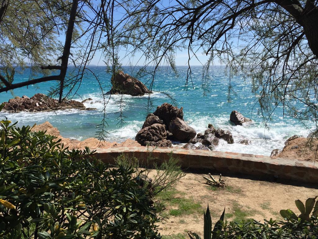 Dionysos Vue Mer Cannes Rum bild
