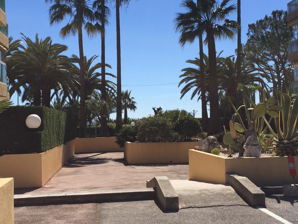Dionysos Vue Mer Cannes Rum bild