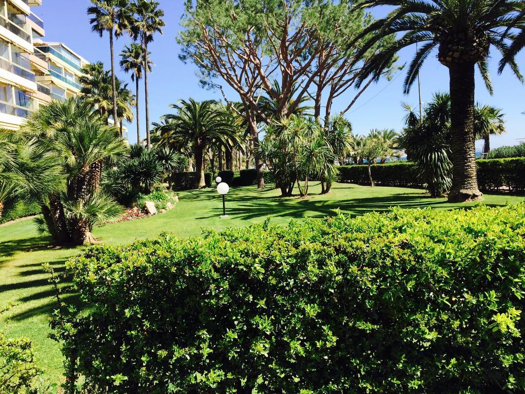 Dionysos Vue Mer Cannes Rum bild